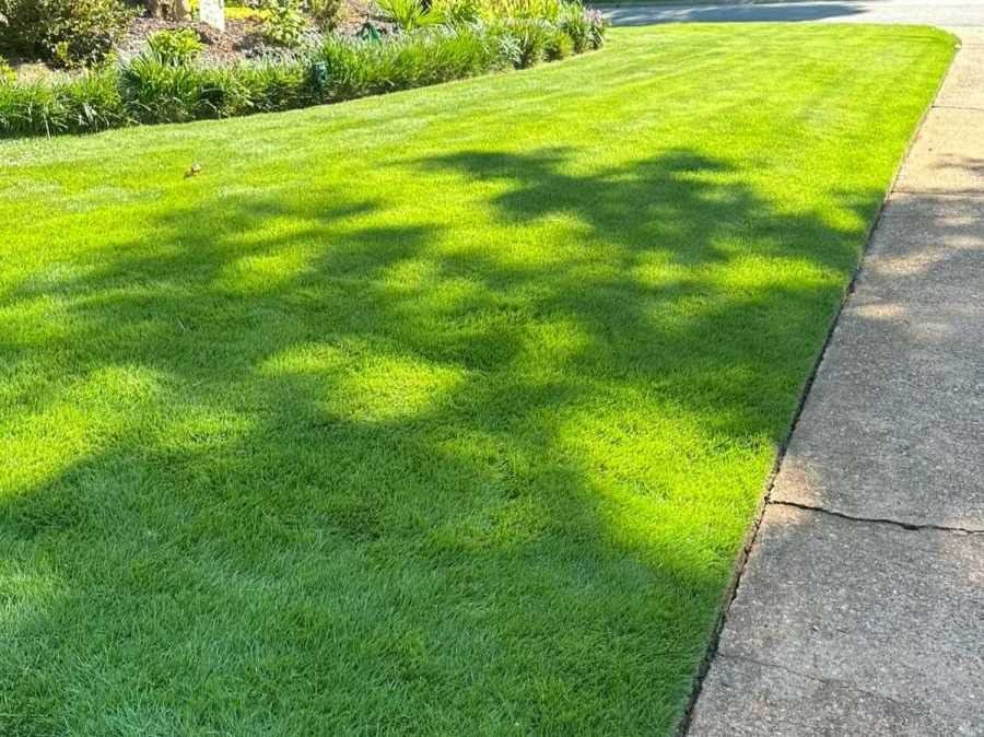 AQ Landscape Group LLC