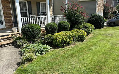 AQ Landscape Group LLC